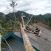 rumah rusak tertimpa pohon