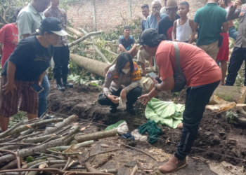 Bayi Ditemukan Tewas di Belakang Rumah Warga Andongsari Jember (Facebook/Lia Honda Mpm)