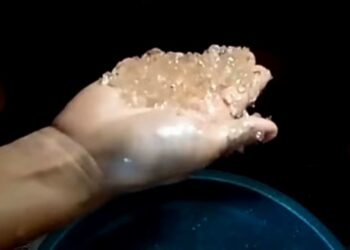 Viral Fenomena Hujan Jelly di Gorontalo Buat Warga Heboh, Begini Jawaban BMKG