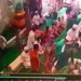Viral Video Imam Masjid di Lampung Meninggal Dunia Saat Pimpin Salat Jumat, Ambruk Kebelakan di Rakaat Kedua
