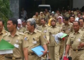ASN (aparatur sipil negara)