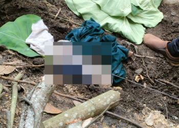 Fakta Terbaru Bayi Tewas di Andongsari Jember (Facebook/Lia Honda Mpm)