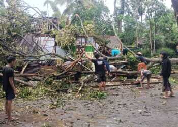 Angin Puting Beling di Jember (Facbook/Tyan Bianconneri)