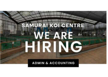 Lulusan SMA SMK Sini! Samurai Koi Centre Bandung Gelar Loker Terbaru Posisi Admin