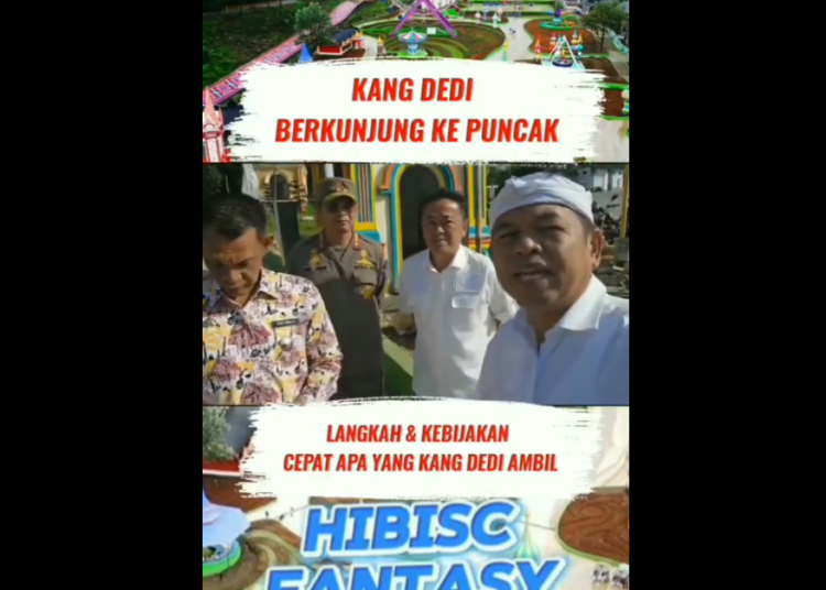 Tempat Wisata Hibisc Fantasy Puncak Bogor Disegel dan Dibongkar Dedi Mulyadi, Disebut Jadi Biang Banjir !