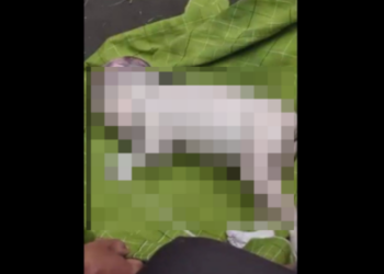 Bayi Perempuan Ditemukan Mengapung Bersama Sampah di Aliran Sungai Mayang Jember (Facebook/Info Warga jember)