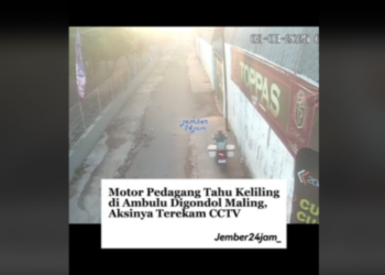 Aksi Pencurian Motor Milik Penjual Tahu Keliling di Ambulu Jember (tiktok.com/@jember24jam_)