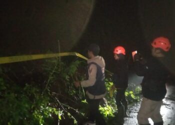 Tanah Longsor di Poncokusumo Akibatkan Akses Menuju Bromo Via Malang Tertutup