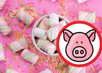 Bunda Wajib Waspada! 7 Produk Marshmallow Bersertifikasi Halal Ternyata Mengandung Babi