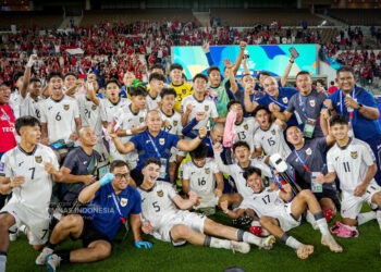 Timnas Indonesia (PSSI)