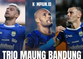 Tak Hanya Ciro Alves, Malut United Juga Targetkan Pemain Persib Lainnya Ada David da Silva, dan Tyronne del Pino !