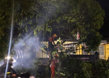 Pengendara Motor Luka Serius Akibat Tabrak Pohon Tumbang di Tasikmalaya, Ini Kronologinya