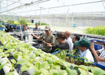 Dukung Peningkatan Akses Makanan Bergizi bagi Masyarakat, Rumah Amal Salman Hadirkan I-RAS