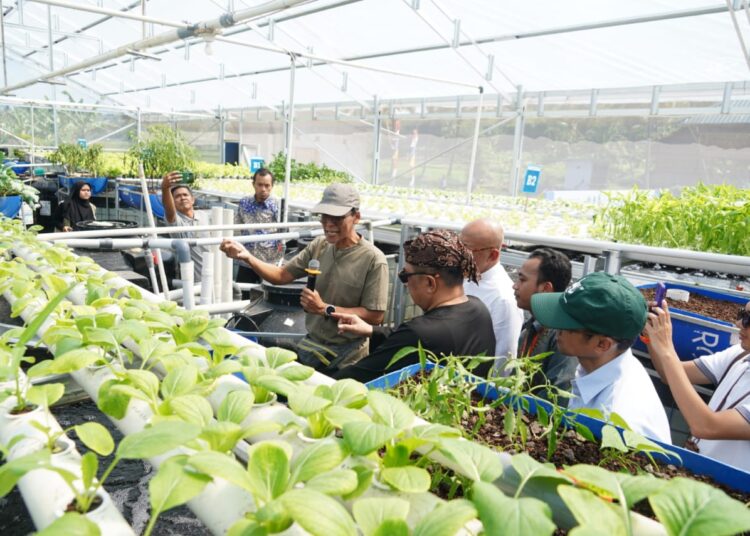 Dukung Peningkatan Akses Makanan Bergizi bagi Masyarakat, Rumah Amal Salman Hadirkan I-RAS