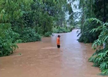Banjir Terjang Panumbangan Ciamis, Pemkab dan BBWS Citanduy Segera Lakukan Penanganan