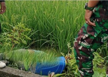 Petani di Bojonegoro Tewas (istimewa)