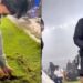 1 Oknum Bobotoh Diamankan Polisi Karena Congkel Rumput GBLA, Pelaku Lainnya Masih Dicari