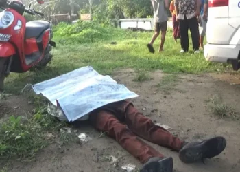 Kecelakaan tunggal di Jombang (Istimewa)