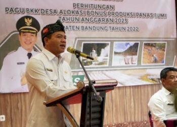Bupati Bandung Usulkan Tukin Kepala Daerah Naik, Ini Penjelasannya