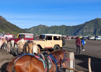 Kawasan Wisata Gunung Bromo Tertutup Bagi Semua Jenis Mobil Kecuali Jeep
