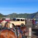 Kawasan Wisata Gunung Bromo Tertutup Bagi Semua Jenis Mobil Kecuali Jeep