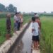 Jombang tewas (Istimewa)