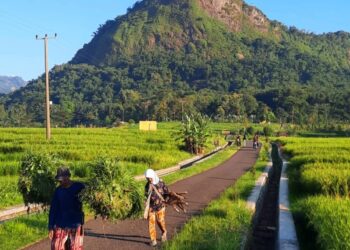 Keunikan Desa Heubeulisuk di Majalengka, Selalu Terlambat Dapatkan Sinar Matahari Pagi