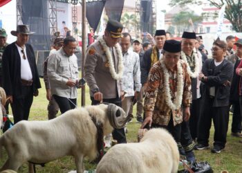 Ratusan Domba dan Kambing Ramaikan Pesta Patok di Tasikmalaya