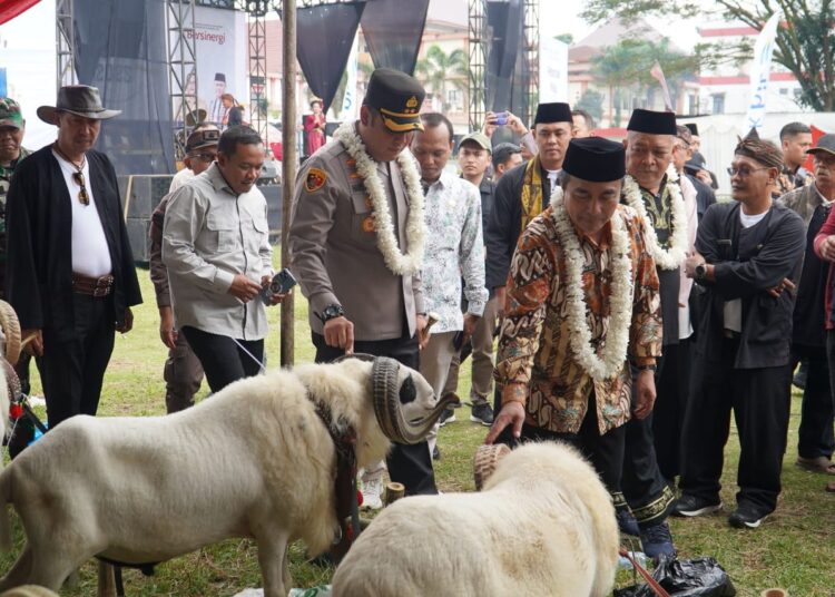 Ratusan Domba dan Kambing Ramaikan Pesta Patok di Tasikmalaya