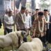 Ratusan Domba dan Kambing Ramaikan Pesta Patok di Tasikmalaya