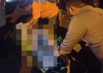 Gresik tewas (istimewa)