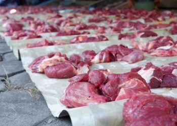 Tips dan Cara Masak Daging Kambing Idul Adha Agar Empuk dan Tidak Bau Prengus