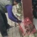 Viral! Kucing Galak di Cimahi Lukai 6 Orang Warga, Akhirnya Diamankan Damkar