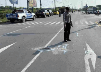 Gresik tewas (Istimewa)