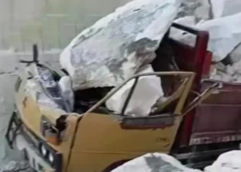 Gresik tewas (Istimewa)