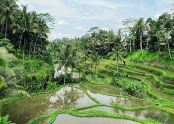 INI 3 Tempat Wisata Hits dan Instagramable di Garut Tahun 2025 yang Wajib Dikunjungi, Ada yang Mirip Bali