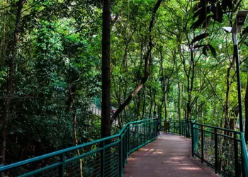 Self-Healing di Alam: 5 Tempat Hidden Gem di Bandung Buat Me Time Tanpa Drama