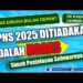 CPNS 2025 Masih Abu-Abu, Apa yang Harus Dipersiapkan Sekarang?
