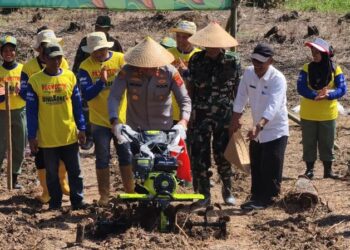 Polres Tasikmalaya dan Instansi Tanam Jagung Serentak di Sindangkerta, Ini Tujuannya