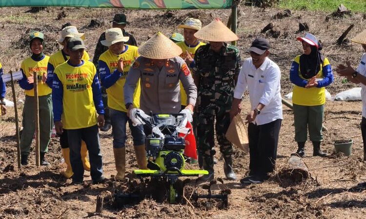 Polres Tasikmalaya dan Instansi Tanam Jagung Serentak di Sindangkerta, Ini Tujuannya