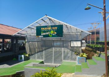 Libatkan Warga Binaan, Lapas Kuningan Tanam 800 Pohon Melon dan Tebar 15.000 Bibit Ikan