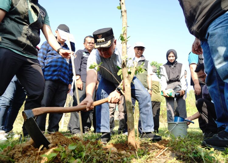 Cegah Longsor dan Banjir, Bupati Garut Tanam Pohon Kayu Keras di Kaki Gunung Guntur
