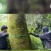 Praktik Lapang Kehutanan IPB University di Kawasan Gunung Ciremai