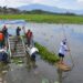 Kawasan Situ Bagendit Garut Masih Perlu Dibenahi, Ini Alasan KDM