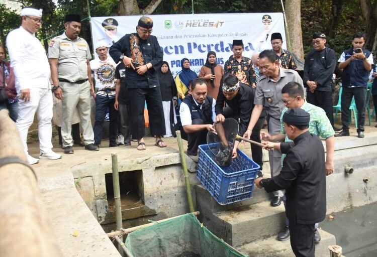 Panen Perdana Ikan Nila, Dari 7.500 Benih Bisa Menghasilkan 2 Kuintal Ikan