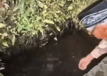 Viral Video Warga Minum Mata Air Rasa Soda, Ada yang Sebut Mirip Sprit