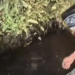Viral Video Warga Minum Mata Air Rasa Soda, Ada yang Sebut Mirip Sprit