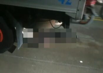 Gresik tewas (istimewa)