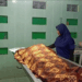 Ngawi tewas (Istimewa)