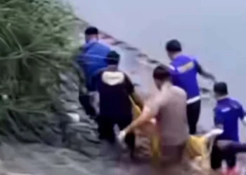 Sidoarjo tewas (istimewa)